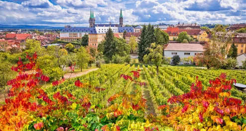 Bamberg, Weinberg, Stadt von oben