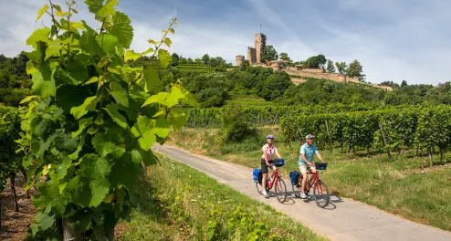Radtour in der Pfalz