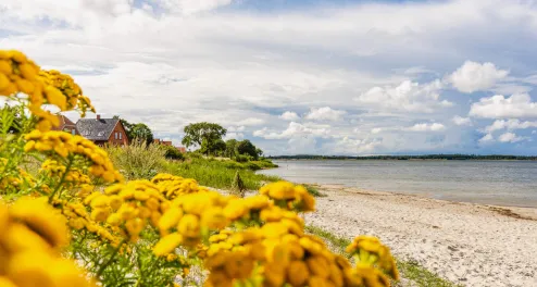 Bandholm Strand